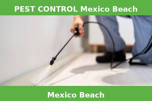 PEST CONTROL Mexico Beach